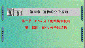 高中生物 第4章 遺傳的分子基礎 第2節(jié) DNA分子的結構和復制（第1課時）DNA分子的結構課件 蘇教版必修2.ppt