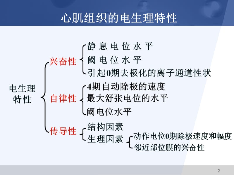 抗心律失常药课件.ppt_第3页