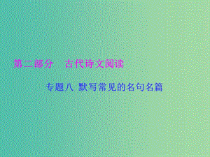 高考語文一輪復(fù)習(xí) 專題八 默寫常見的名句名篇課件.ppt