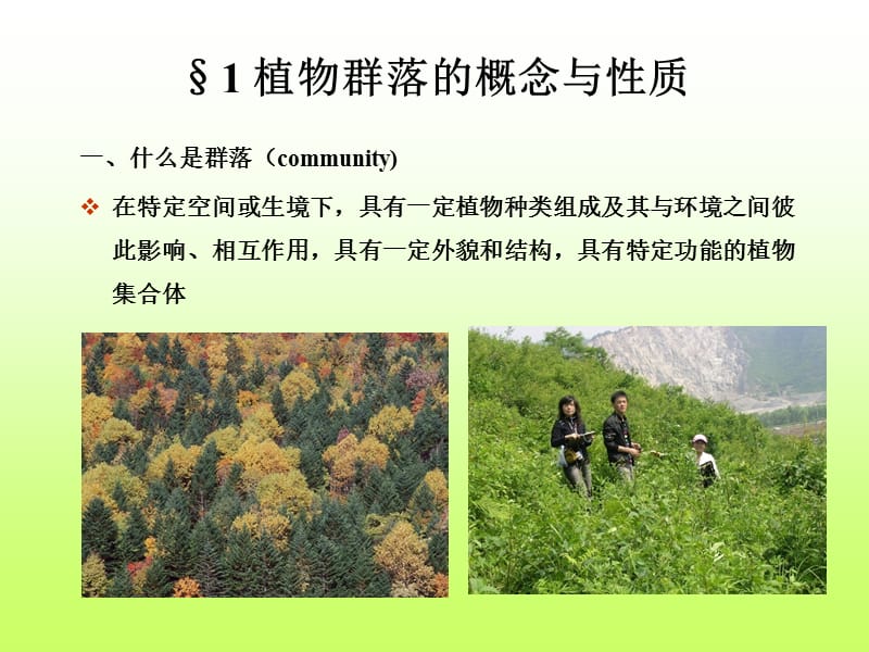 植物群落的种类组成.ppt_第3页