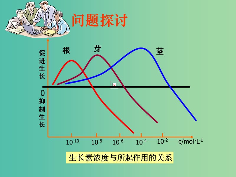 高中生物 3.2 生长素的生理作用课件1 新人教版必修3 .ppt_第2页