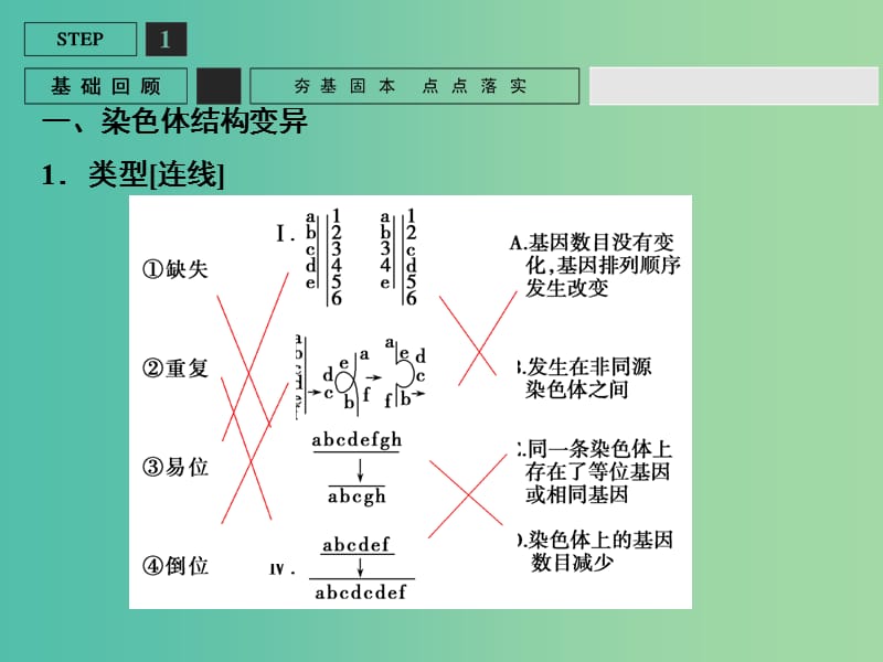 高考生物一轮复习 第3单元 基础课时案22 染色体变异课件 新人教版必修2.ppt_第3页