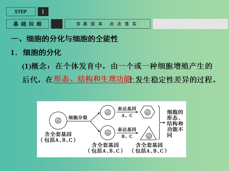 高考生物一轮复习 第4单元 基础课时案13 细胞的分化、衰老、凋亡与癌变课件 新人教版必修1.ppt_第3页