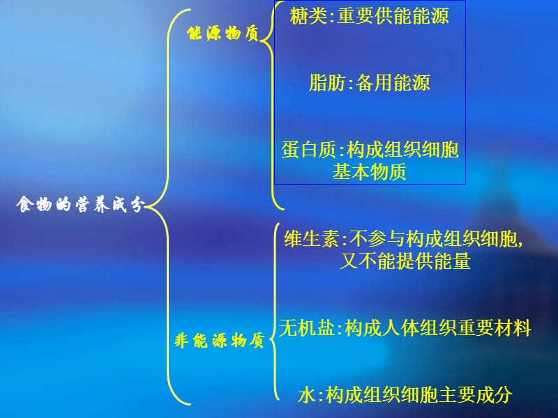 河北少年儿童出版社《生物下册》总复习.ppt_第2页