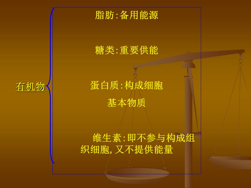 河北少年儿童出版社《生物下册》总复习.ppt_第3页