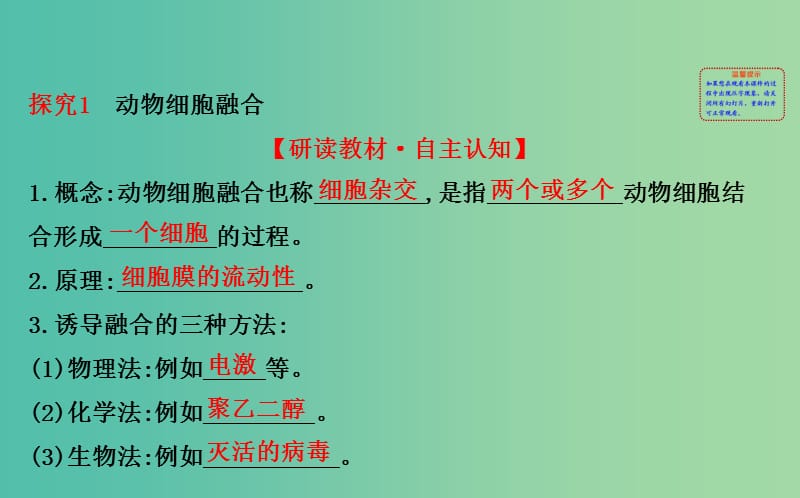 高中生物 探究导学课型 专题2 细胞工程 2.2.2 动物细胞融合与单克隆抗体同课异构课件 新人教版选修3.ppt_第2页