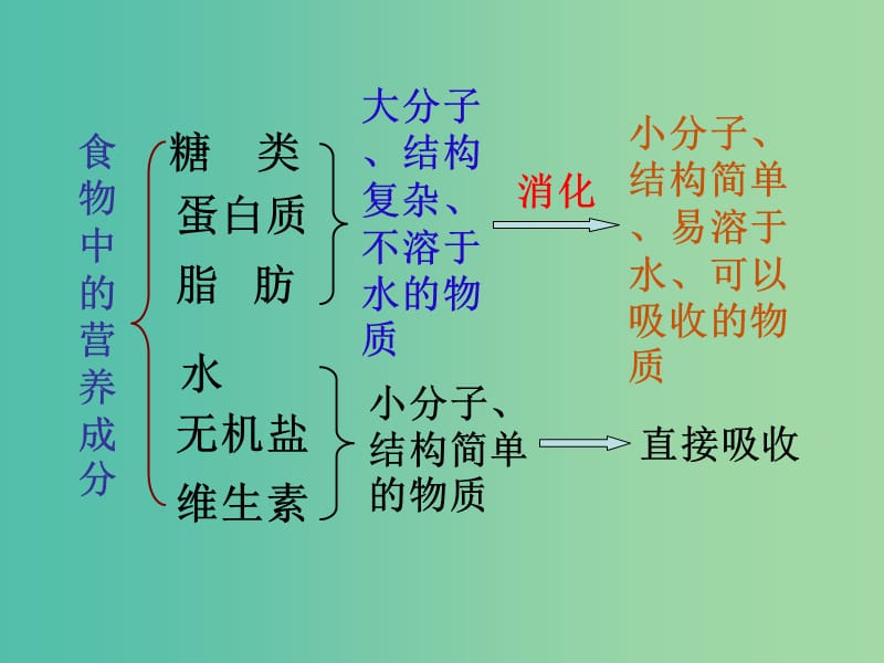 七年级生物下册 3.1.2 消化和吸收课件（1）（新版）济南版.ppt_第3页