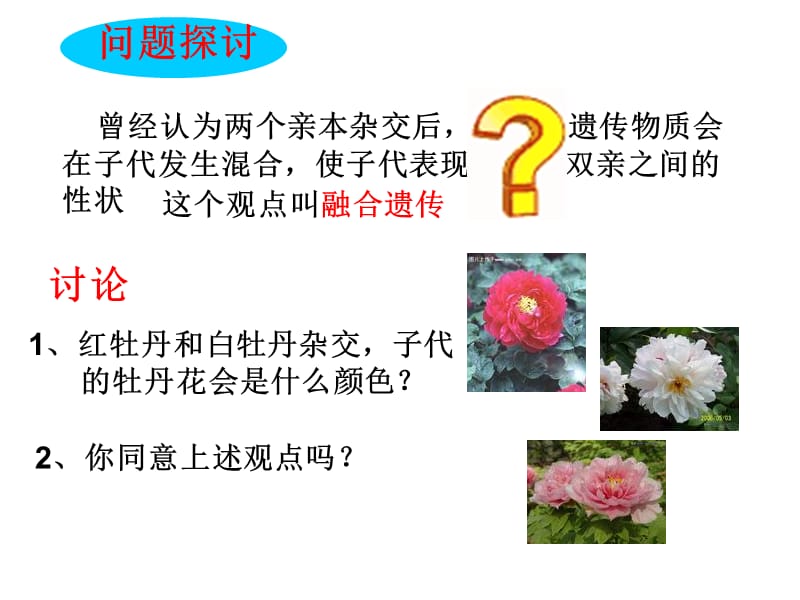 孟德尔的豌豆杂交实验一.ppt_第2页