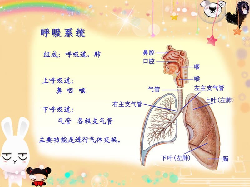 幼儿园讲课上呼吸道感染预防.ppt_第2页