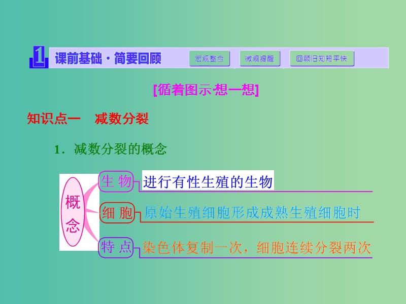 高考生物一轮复习 第四单元 第3讲 减数分裂与受精作用课件 新人教版必修1.ppt_第2页