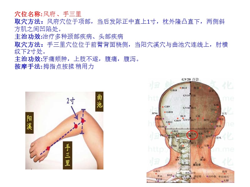 治疗颈椎病的穴位.ppt_第2页