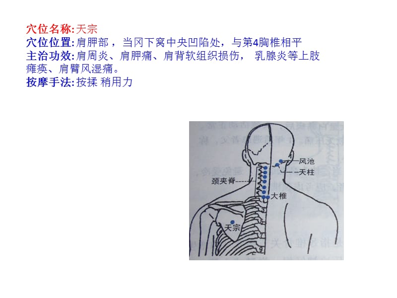 治疗颈椎病的穴位.ppt_第3页