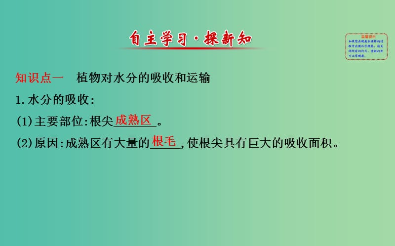 七年级生物上册 3.3 绿色植物与生物圈的水循环课件 新人教版.ppt_第2页