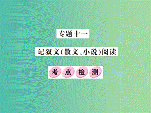 中考語文總復(fù)習(xí) 專題十一 記敘文（散文、小說）閱讀課件3.ppt