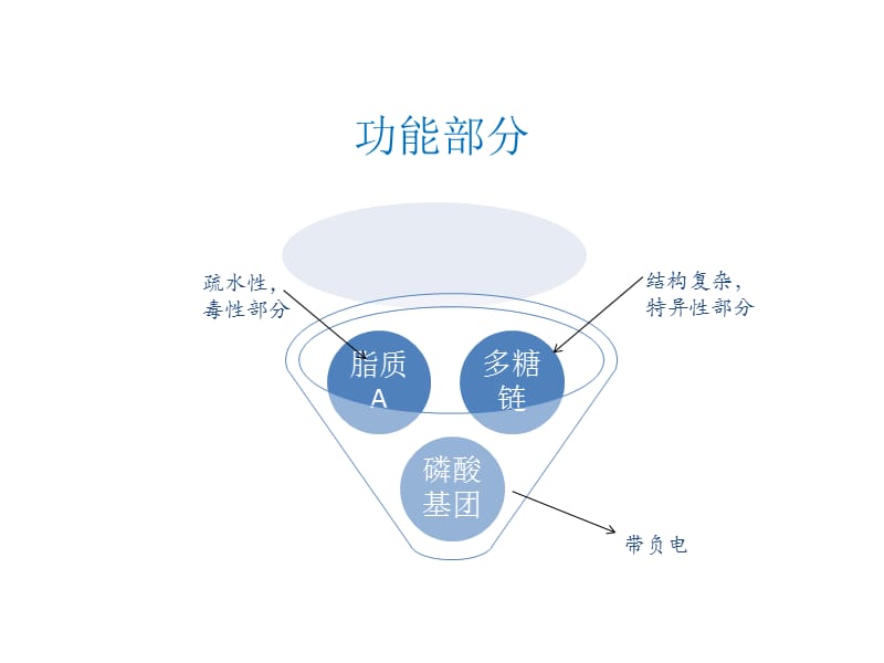 内毒素及其去除.ppt_第3页