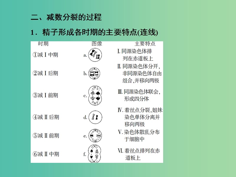 高考生物总复习 第4单元 第2讲 减数分裂和受精作用课件 新人教版必修1.ppt_第3页