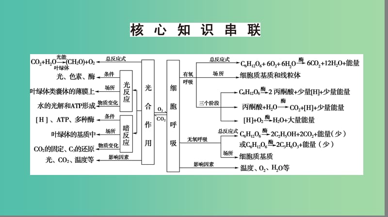 高考生物二轮复习 第1部分 板块1 代谢 专题4 光合作用和细胞呼吸课件.ppt_第3页