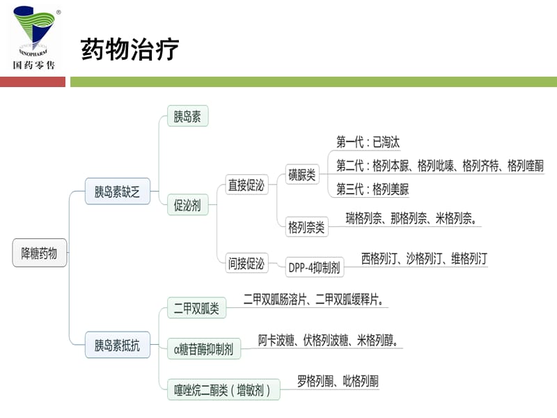 六大类口服降糖药.ppt_第2页