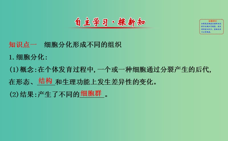 七年级生物上册 2.2.2 动物体的结构层次课件 新人教版.ppt_第2页