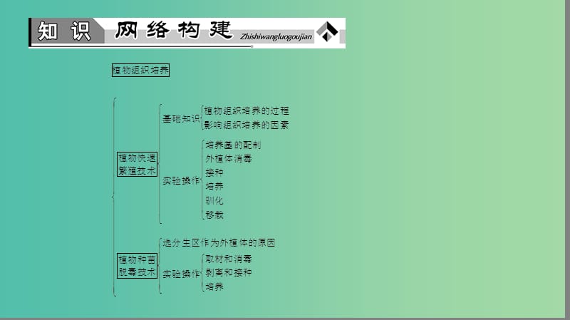 高中生物 第5章 植物的组织培养技课件 中图版选修1.ppt_第2页