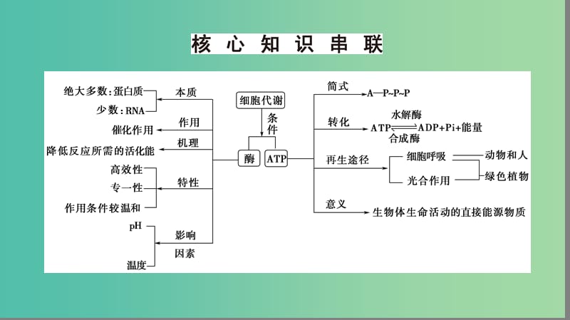 高考生物二轮复习 第1部分 板块1 代谢 专题3 酶和ATP课件.ppt_第3页