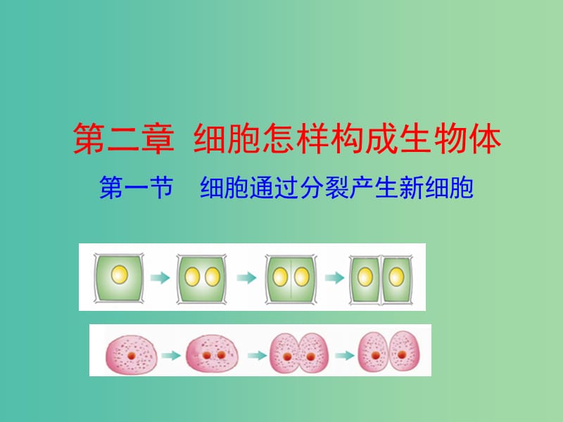 七年级生物上册 2.2.1 细胞通过分裂产生新细胞教学课件 新人教版.ppt_第1页