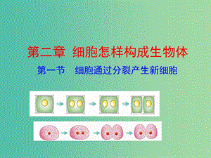 七年级生物上册 2.2.1 细胞通过分裂产生新细胞教学课件 新人教版.ppt