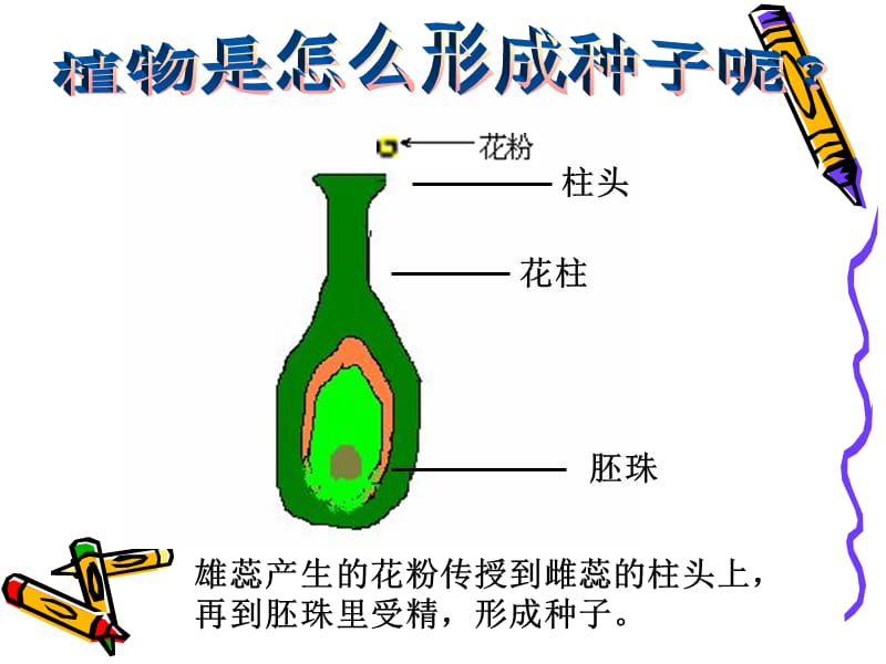 四年级下册科学动物的繁殖活动.ppt_第3页