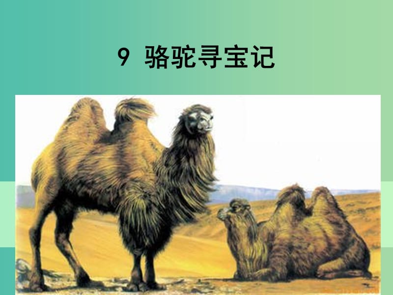 七年级语文下册 9《骆驼寻宝记》课件 语文版.ppt_第1页