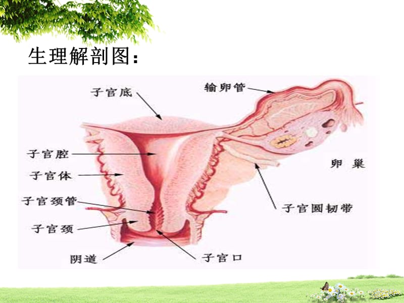 宫颈癌根治手术护理常规护理常规.ppt_第3页