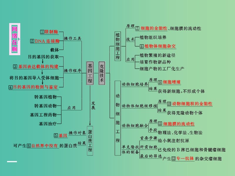 高考生物二轮复习 第一部分 专题六 生物科技系统 第1讲 基因工程与克隆技术课件.ppt_第2页