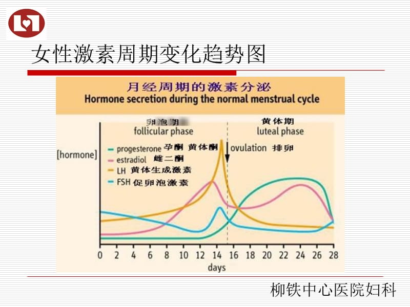 性激素六项的临床应用及实例分析.ppt_第2页