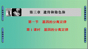 高中生物 第3章 遺傳和染色體 第1節(jié) 基因的分離定律（第1課時）基因的分離定律課件 蘇教版必修2.ppt