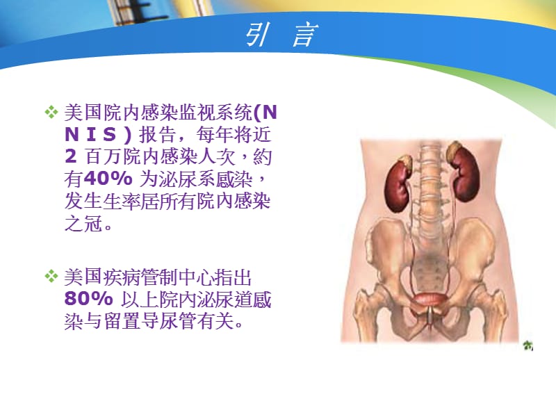 留置尿管的护理.ppt_第2页