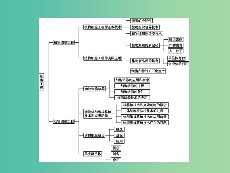 高中生物 专题2 细胞工程整合提升课件 新人教版选修3.ppt_第2页