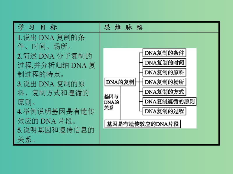 高中生物 第3章 基因的本质 第3、4节 DNA的复制、基因是有遗传效应的DNA片段课件 新人教版必修2.ppt_第2页