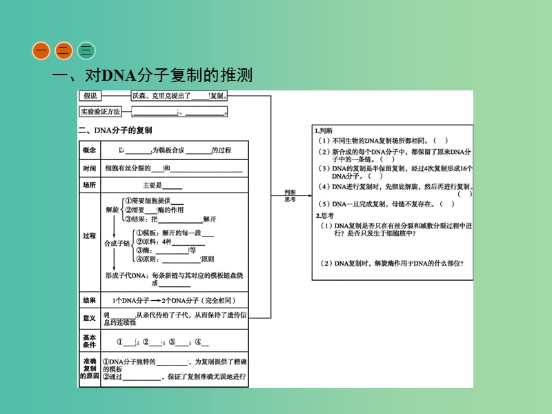 高中生物 第3章 基因的本质 第3、4节 DNA的复制、基因是有遗传效应的DNA片段课件 新人教版必修2.ppt_第3页