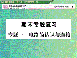 九年級物理下冊 專題一 電路的認(rèn)識與連接課件 （新版）教科版.ppt