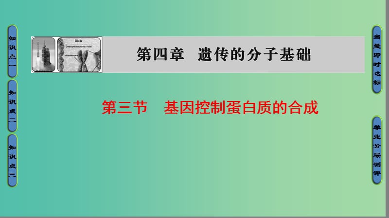 高中生物 第4章 遗传的分子基础 第3节 基因控制蛋白质的合成课件 苏教版必修2.ppt_第1页