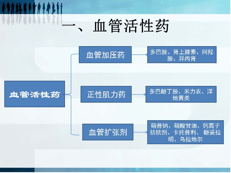 心脏外科常用血管活性药物的使用及注意事项.ppt_第3页