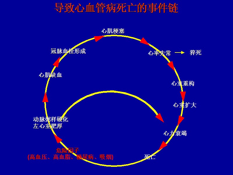 心血管病的营养治疗.ppt_第2页