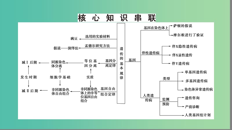 高考生物二轮复习 第1部分 板块2 遗传 专题7 遗传的基本规律和伴性遗传课件.ppt_第3页