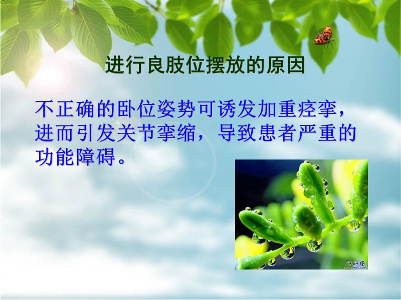 偏瘫患者的良肢位摆放.ppt_第3页