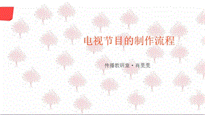 電視節(jié)目制作流程.ppt