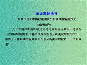 高考生物第一輪復習 第三單元 細胞的能量供應和利用單元指導課件 新人教版必修1.ppt