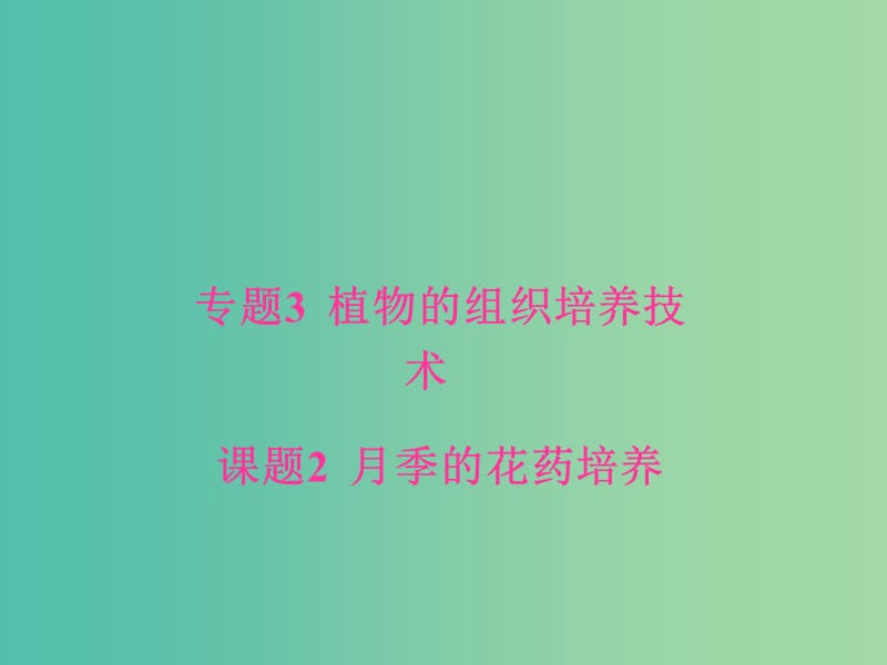 高中生物 专题3 植物的组织培养技术 课题2 月季的花药培养课件 新人教版选修1.ppt_第1页