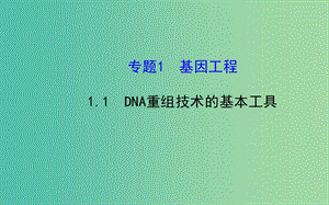 高中生物 精讲优练课型 专题1 基因工程 1.1 DNA重组技术的基本工具同课异构课件 新人教版选修3.ppt