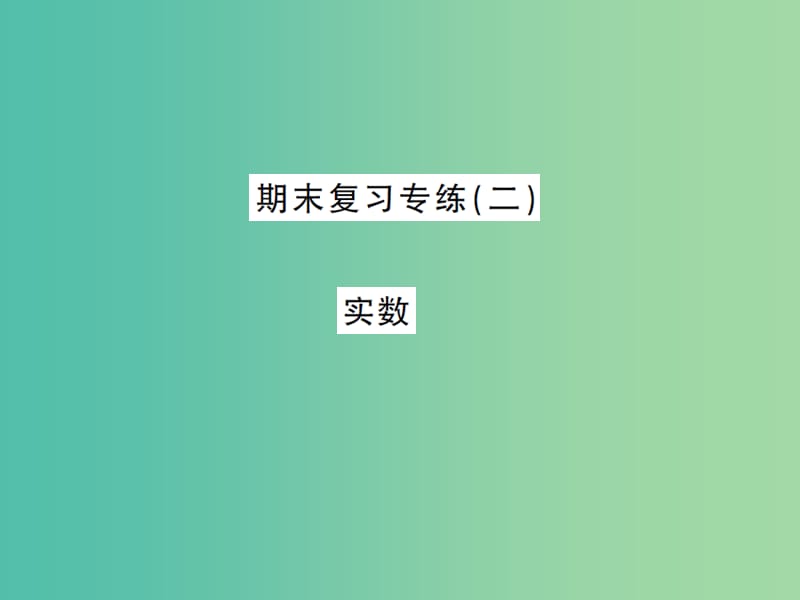 七年级数学下学期期末复习专练（二） 实数课件 新人教版.ppt_第1页