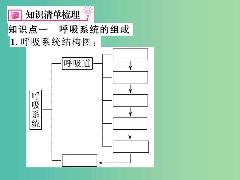 七年级生物下学期期末复习三 人体的呼吸课件 新人教版.ppt_第2页