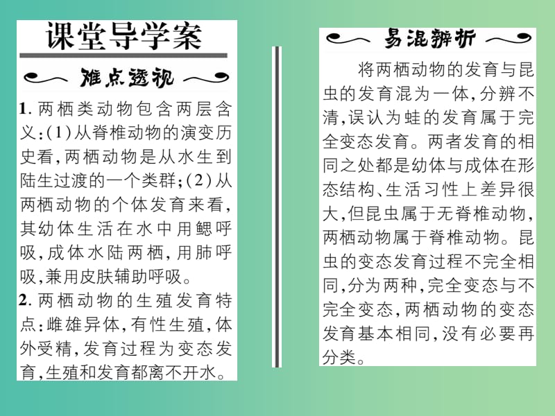 八年级生物下册 第七单元 第一章 第三节 两栖动物的生殖和发育课件 （新版）新人教版.ppt_第2页